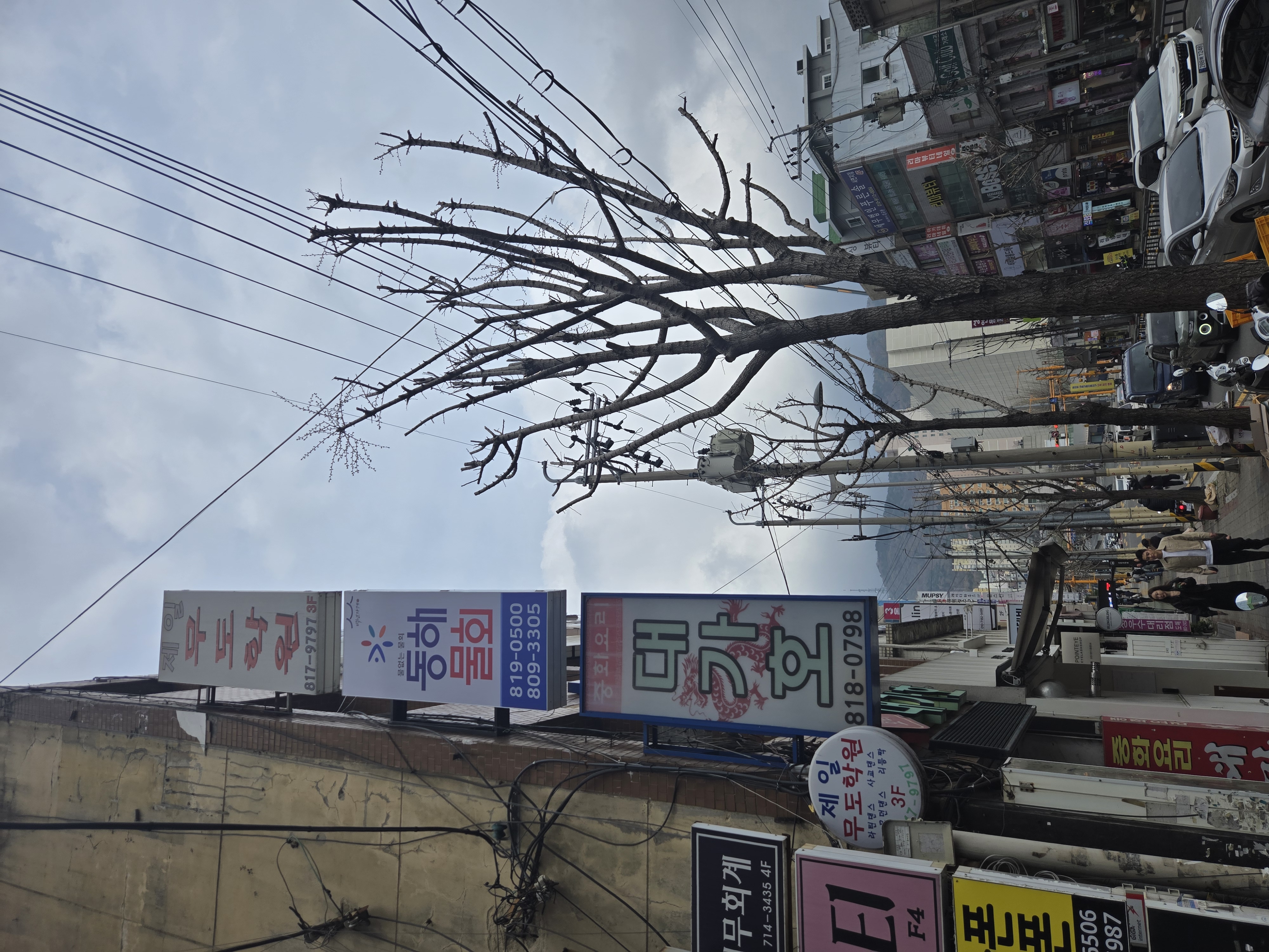 동해물회