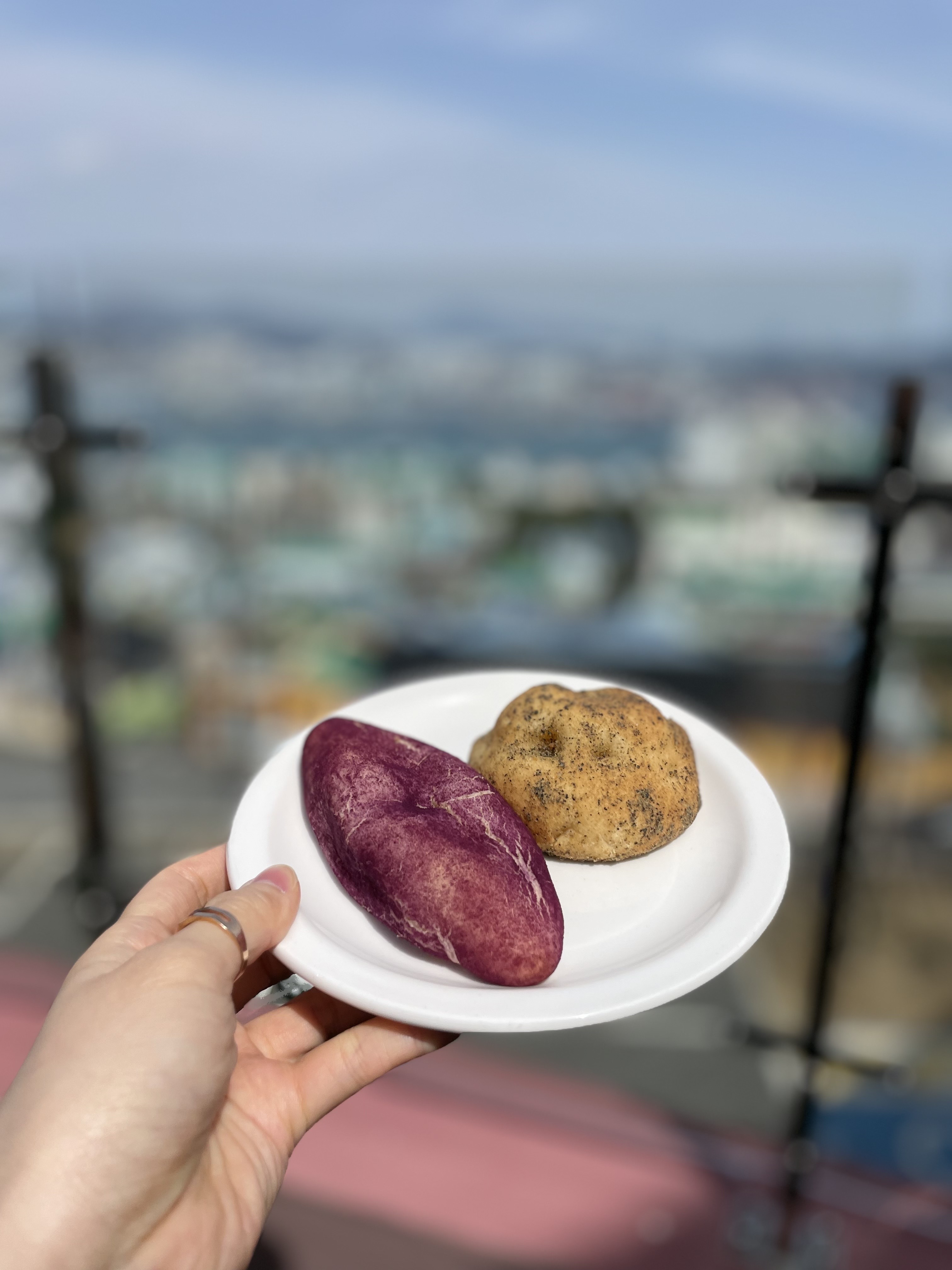 선생조고매