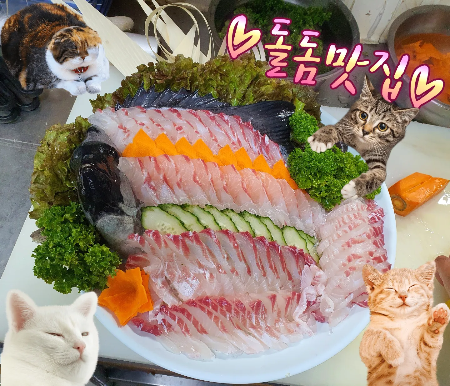 미조횟집가게 이미지2
