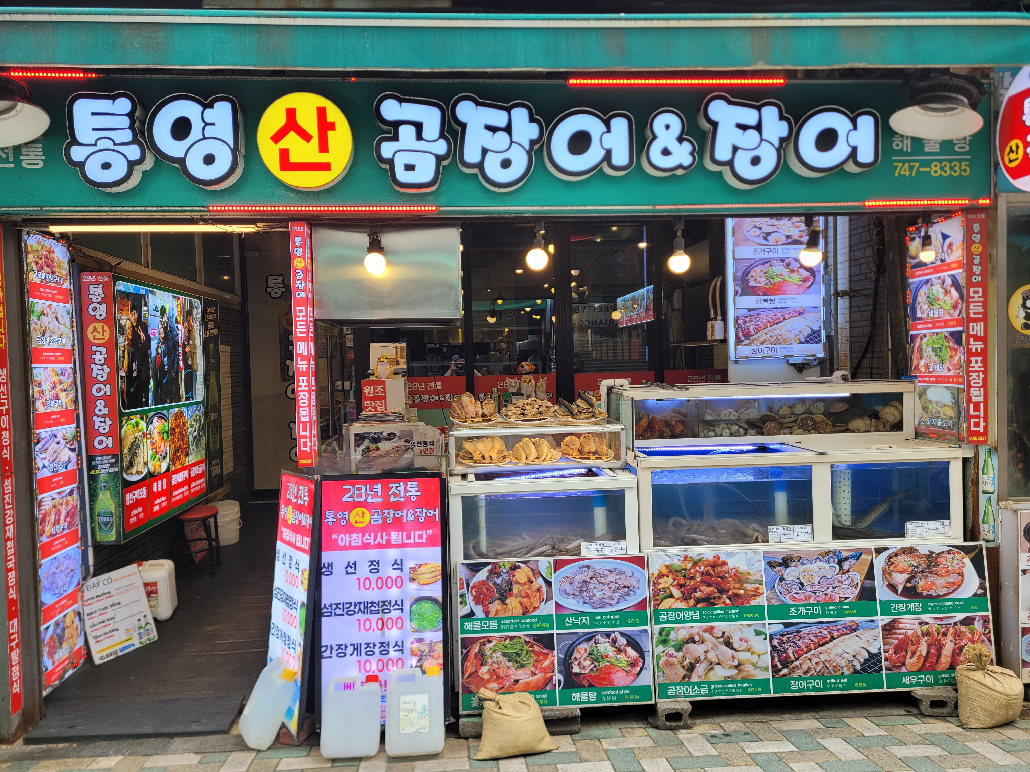 통영곰장어장어