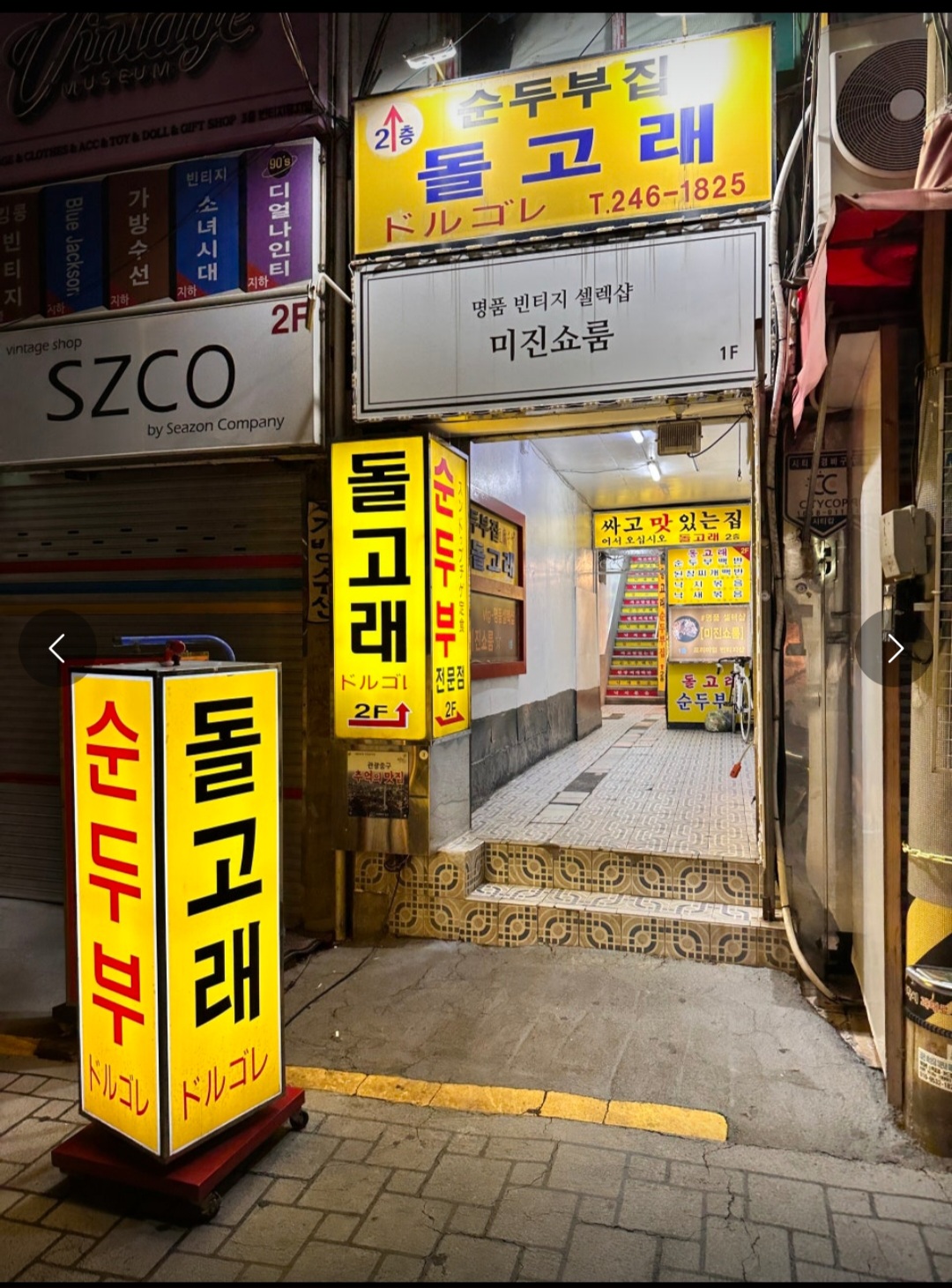 돌고래식당