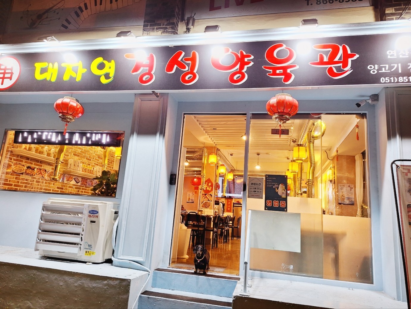 대자연 경성 양육관