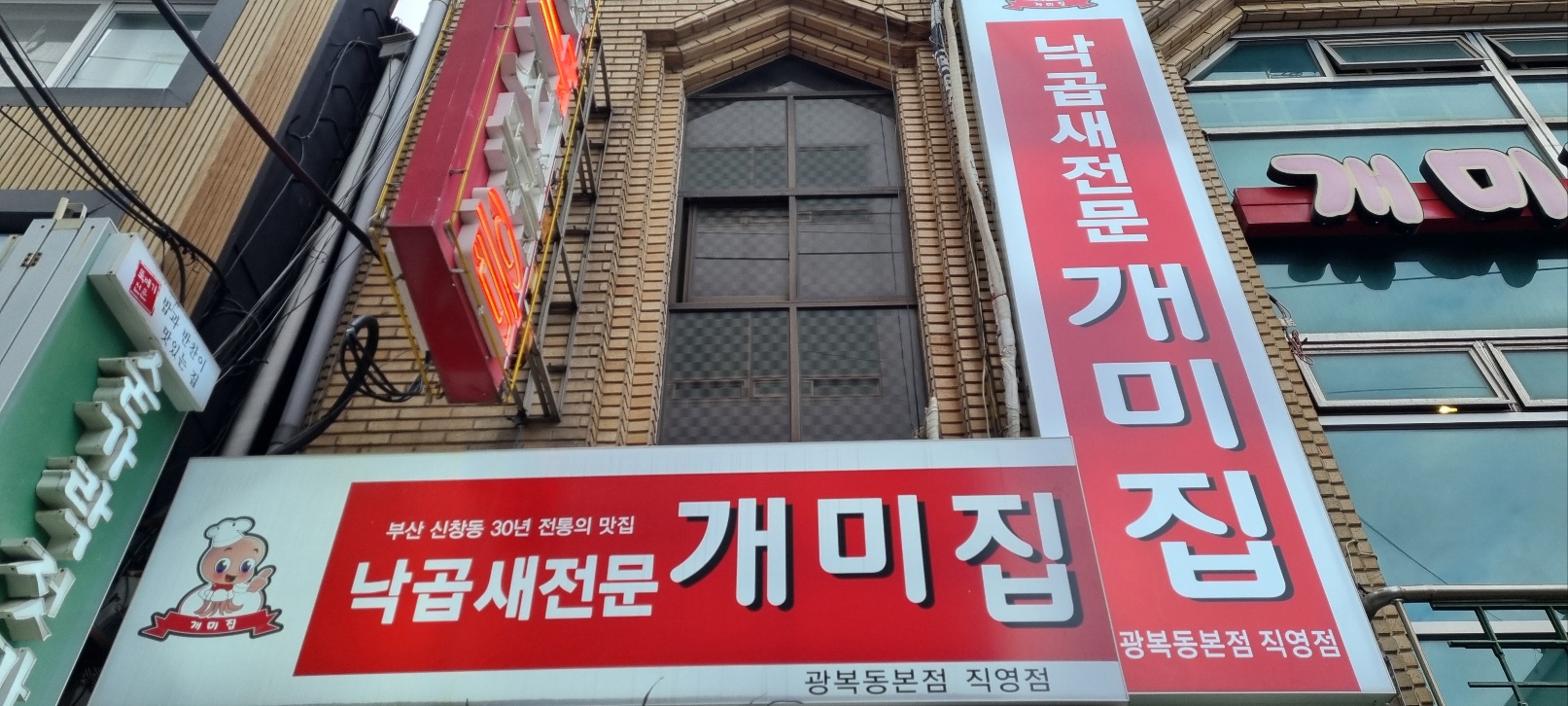 개미집