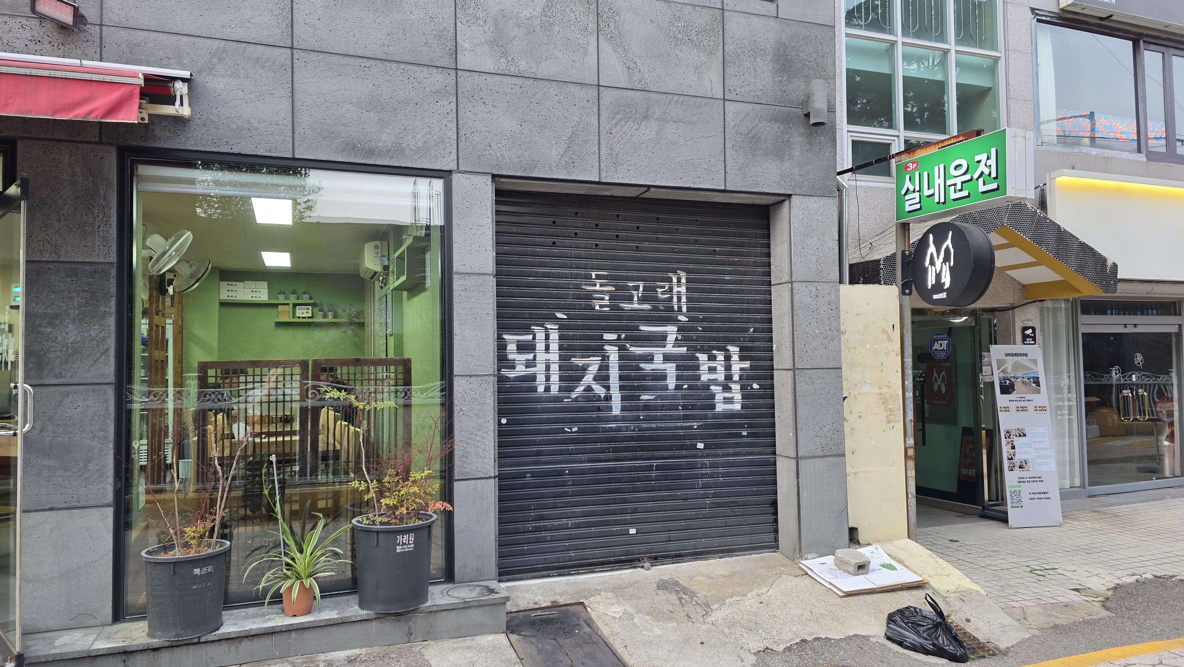 돌고래돼지국밥