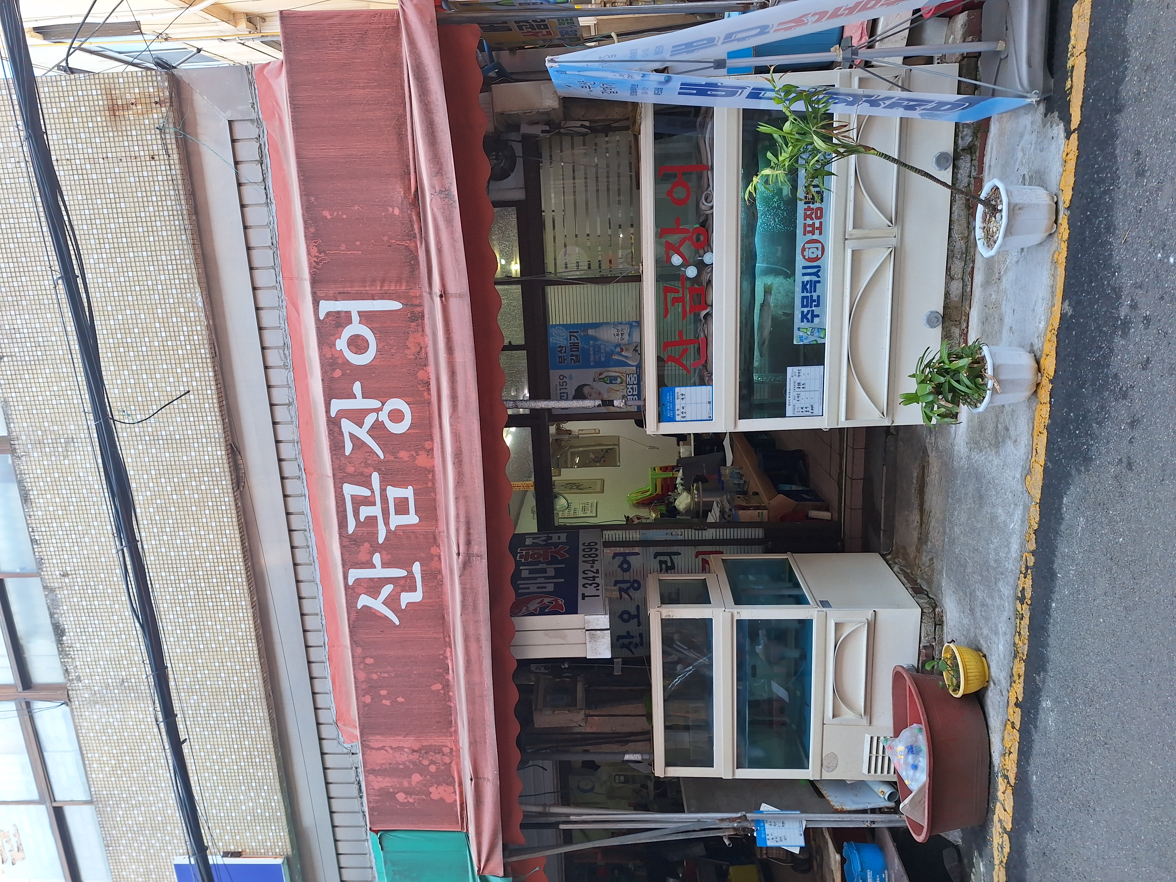 바다산곰장어