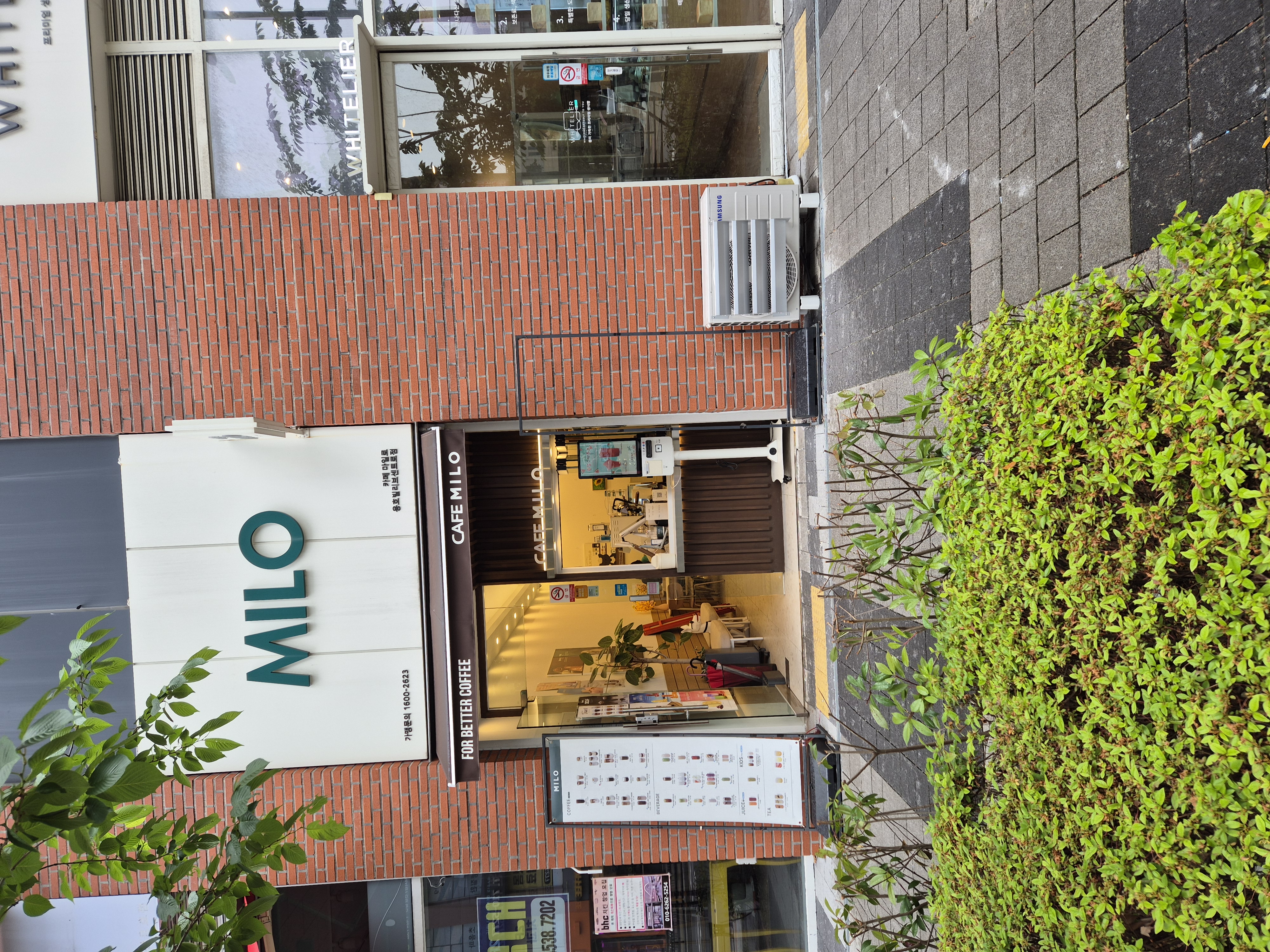 마일로