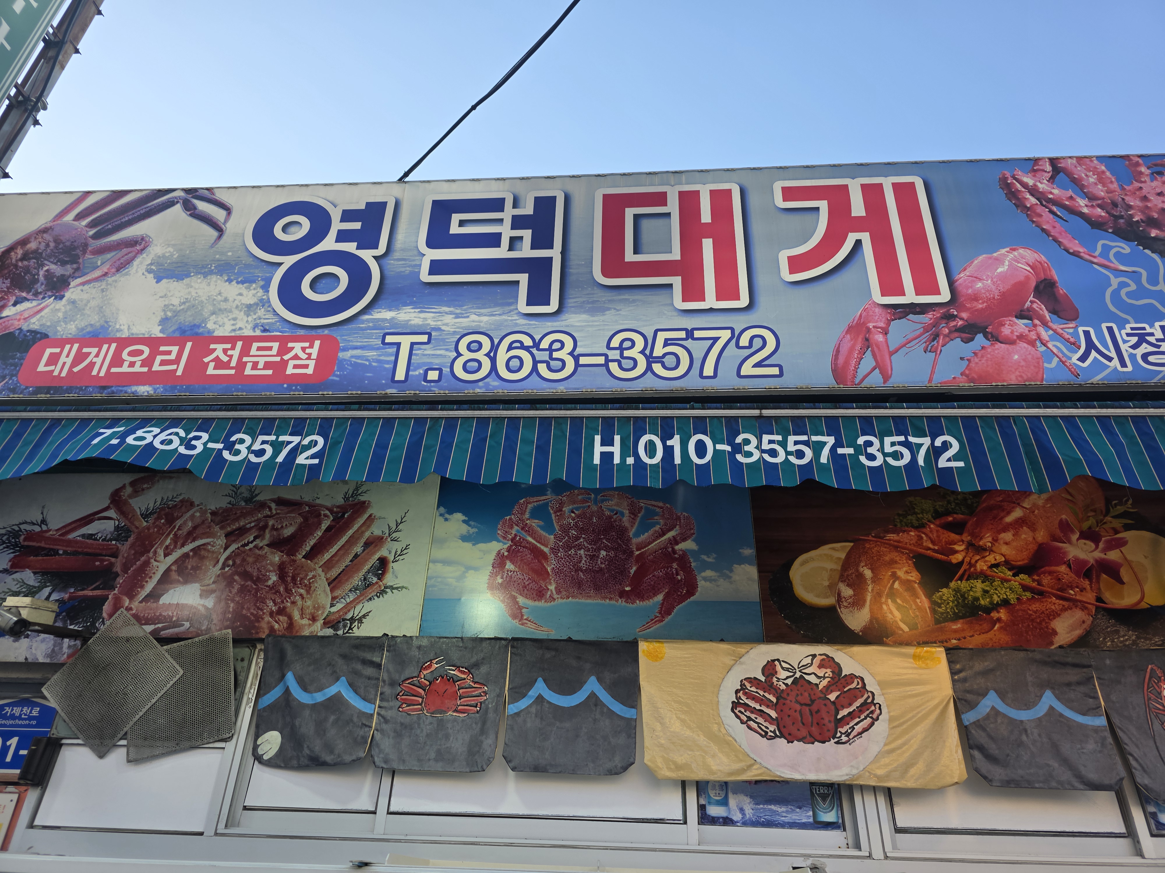 영덕대게