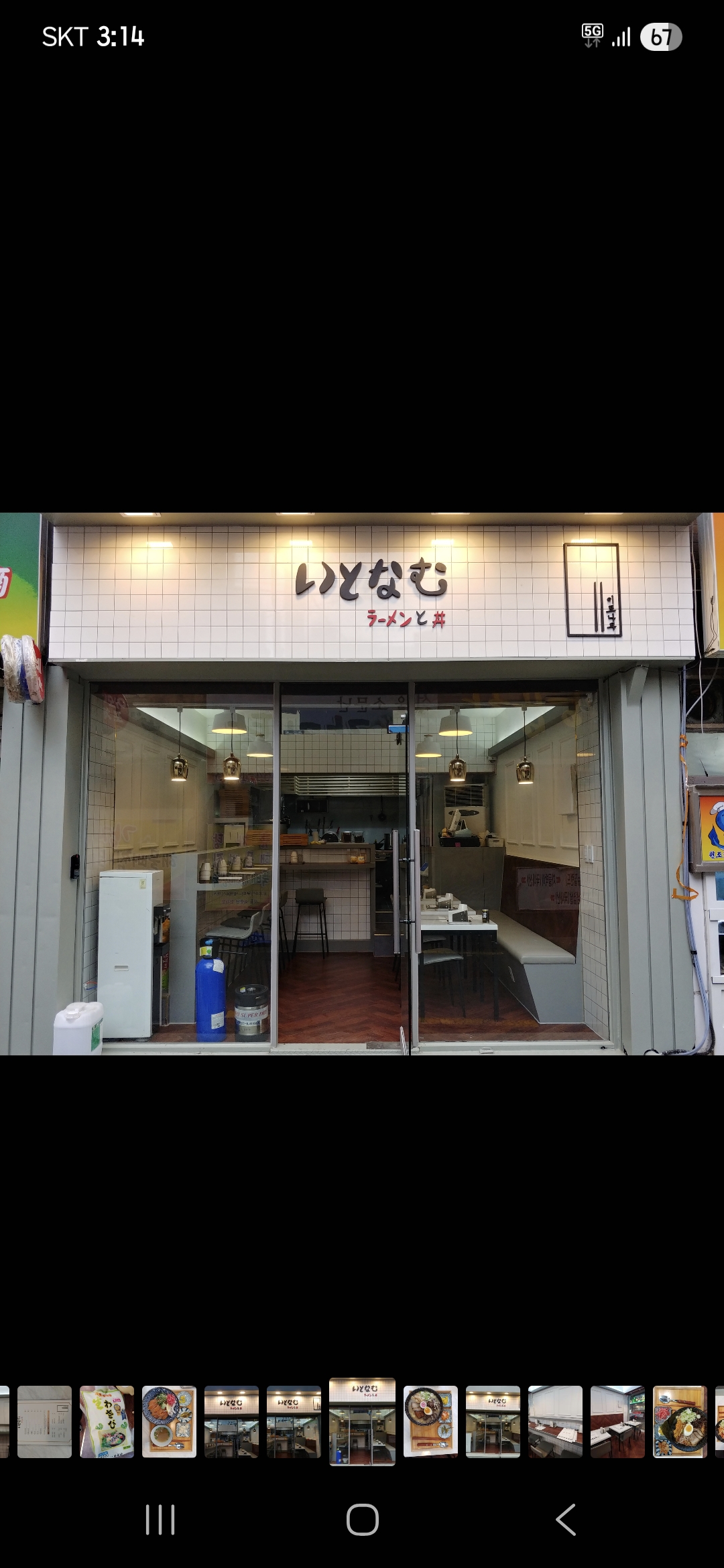 이토나무