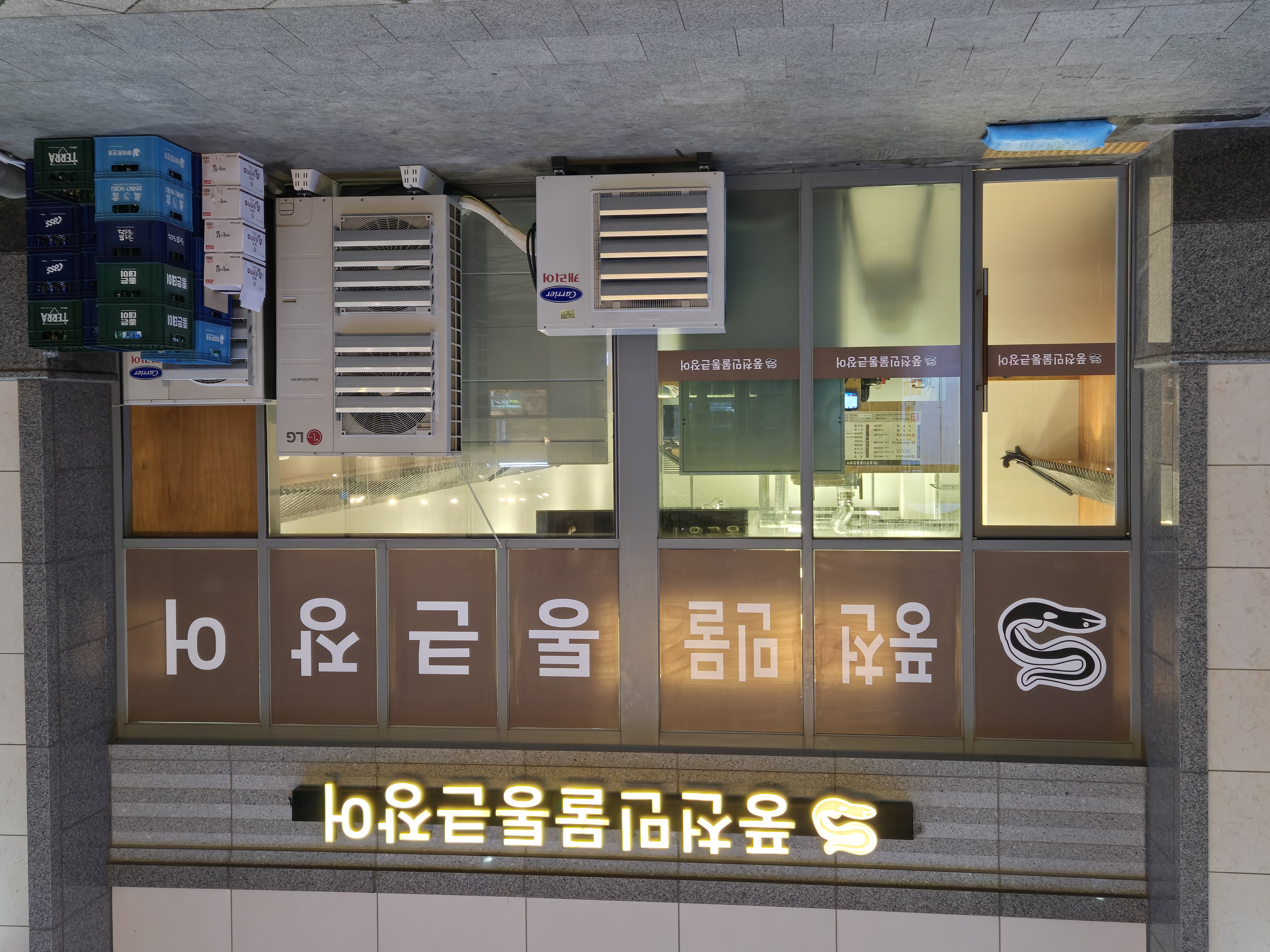 풍천민물통큰장어