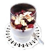 Yogurt Berry
