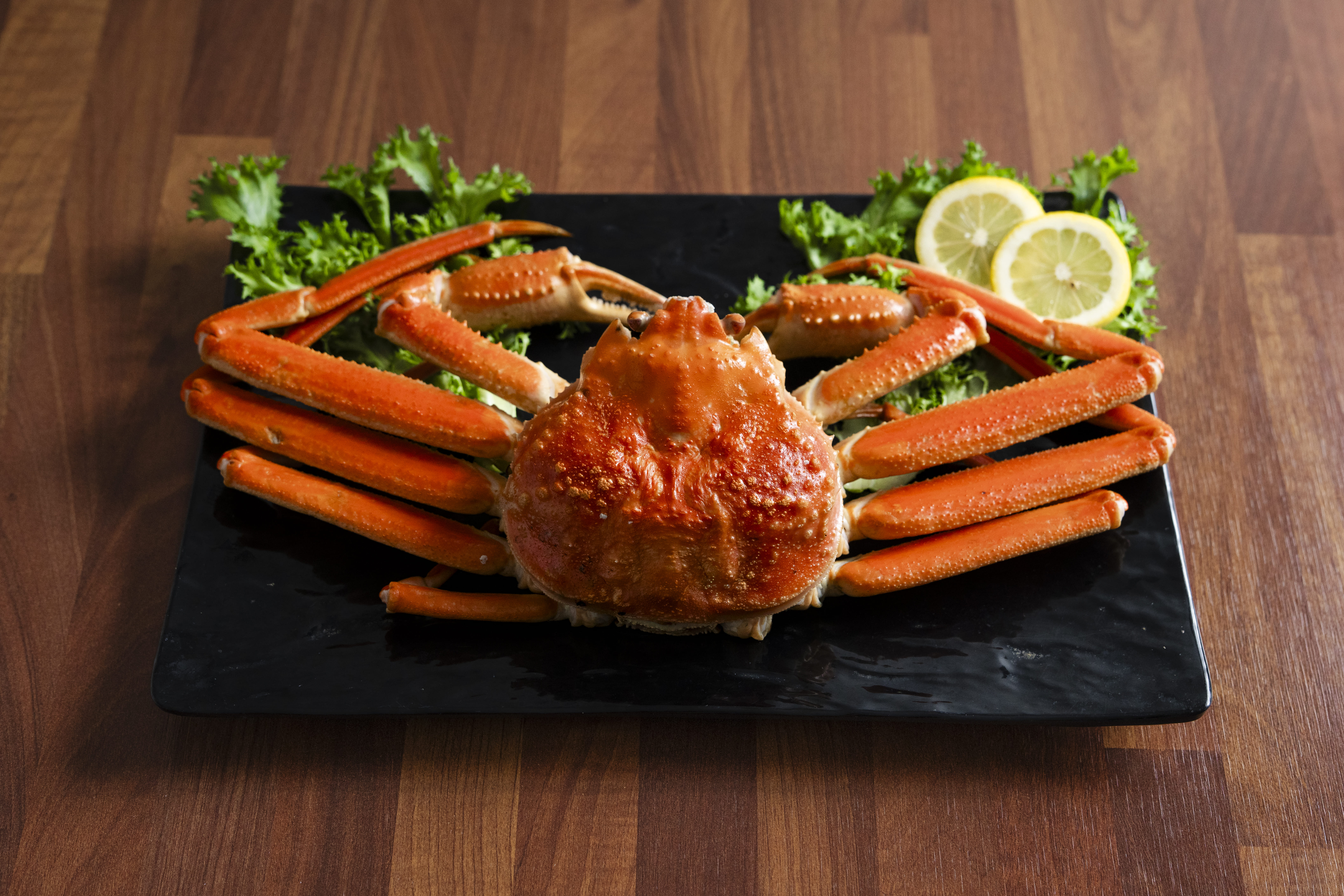 Snow Crab