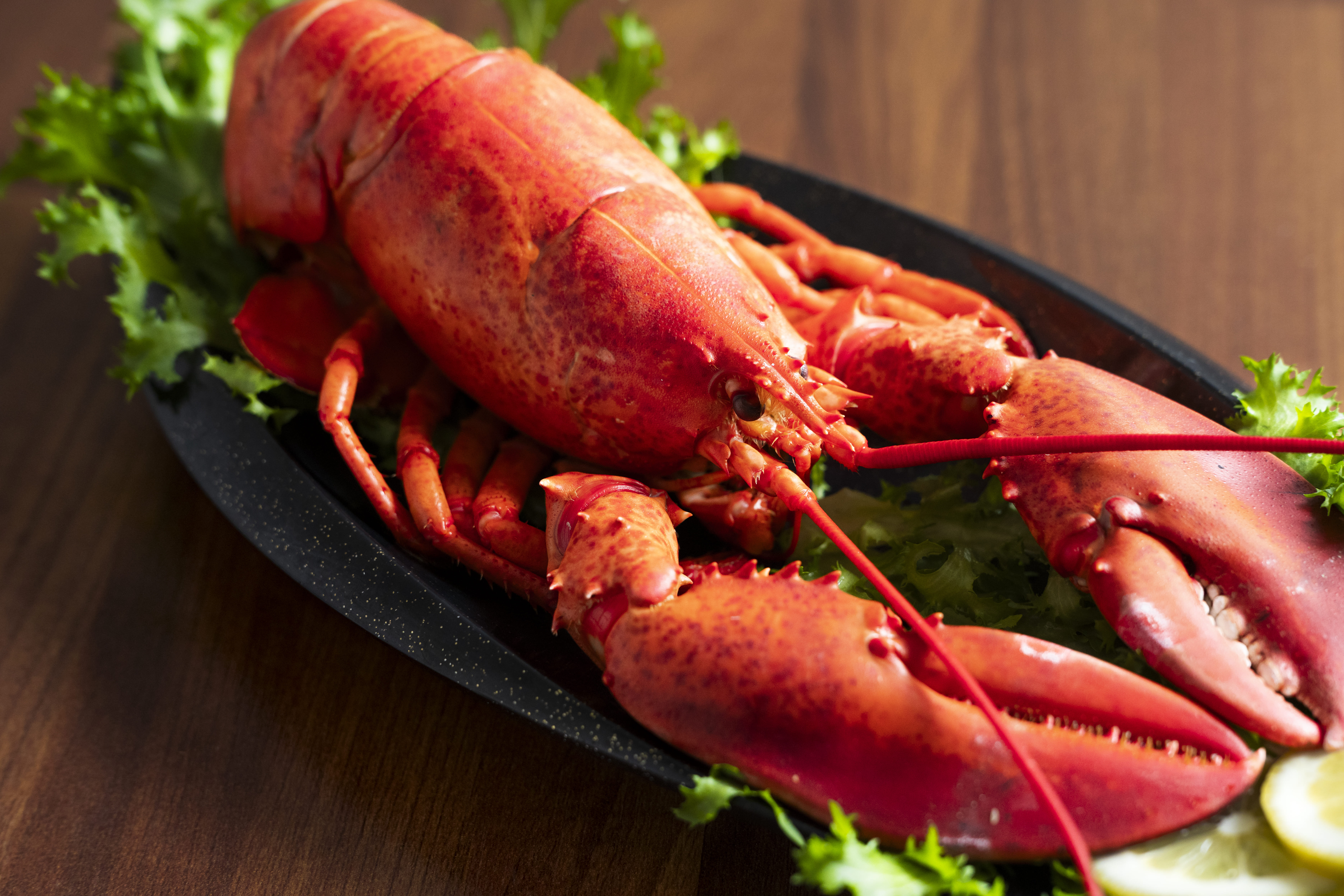 lobster