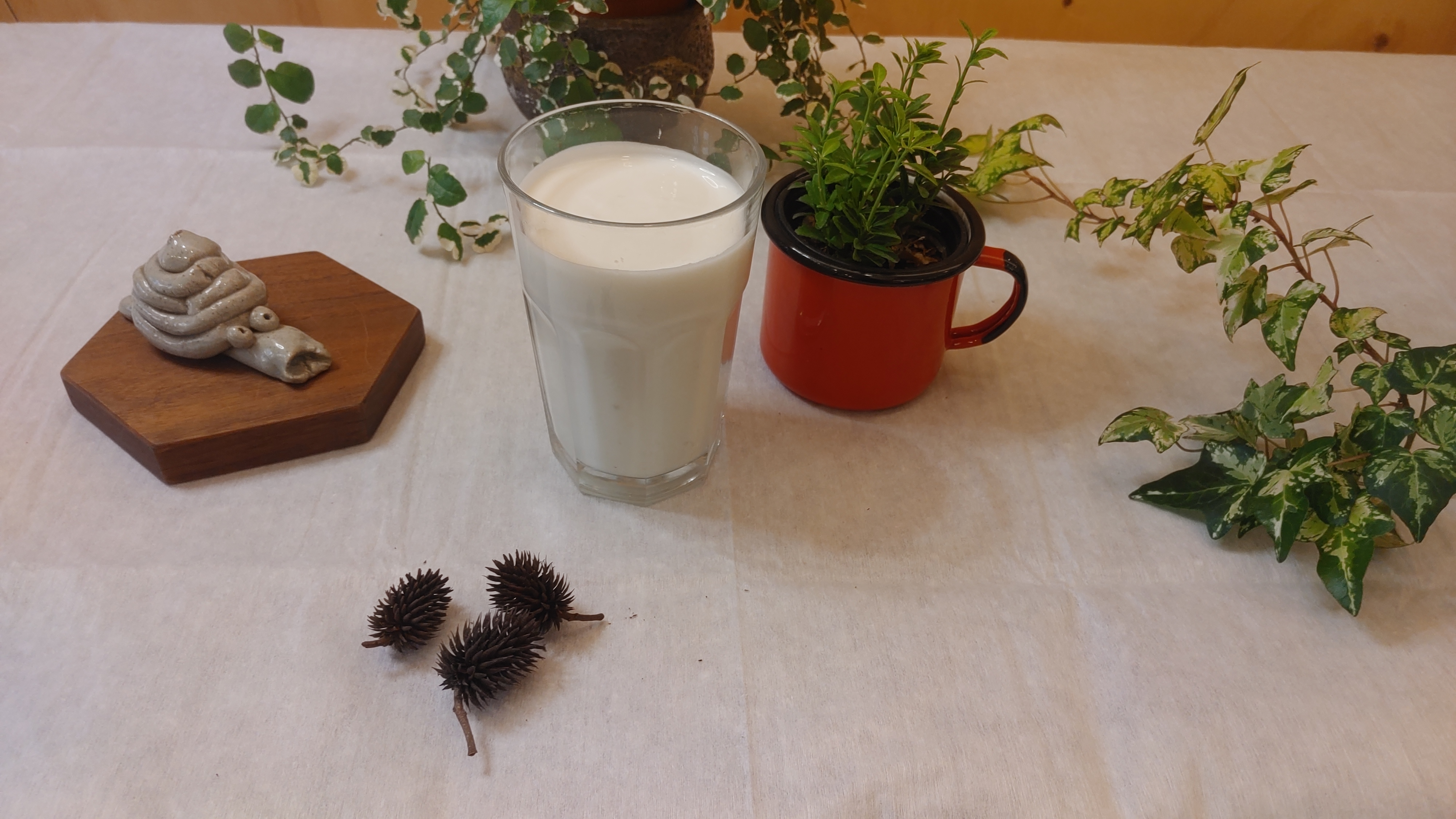 Homemade Yogurt (Plain Yogurt)