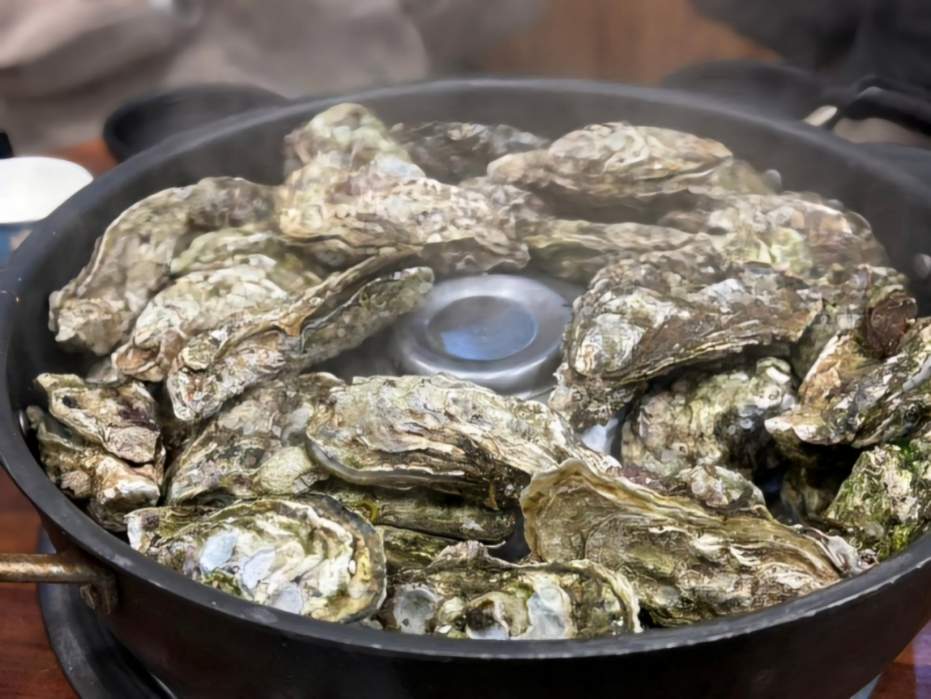 Steamed Oysters