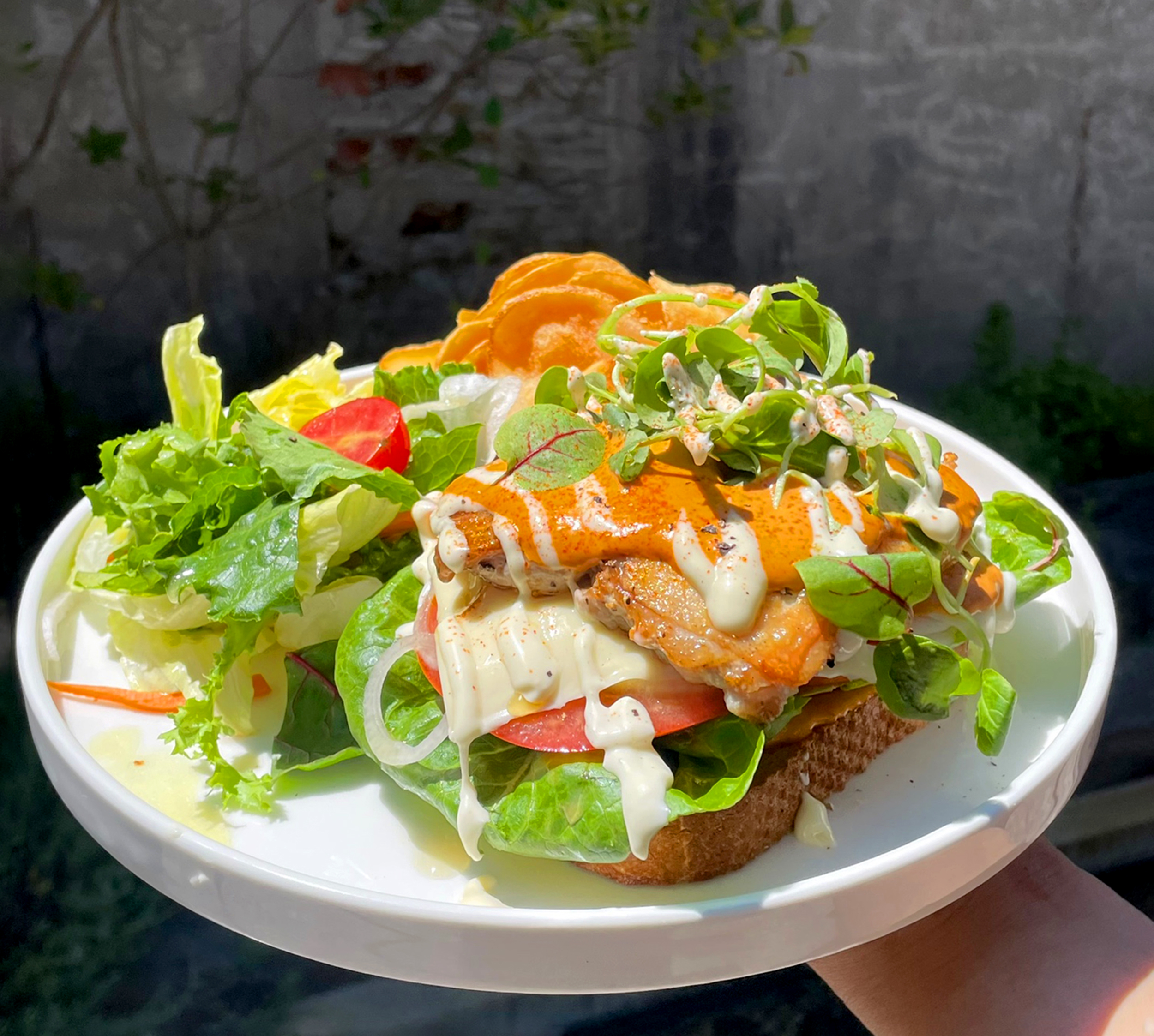 [All Day Brunch] Chipotle Chicken Open Sandwich + Americano