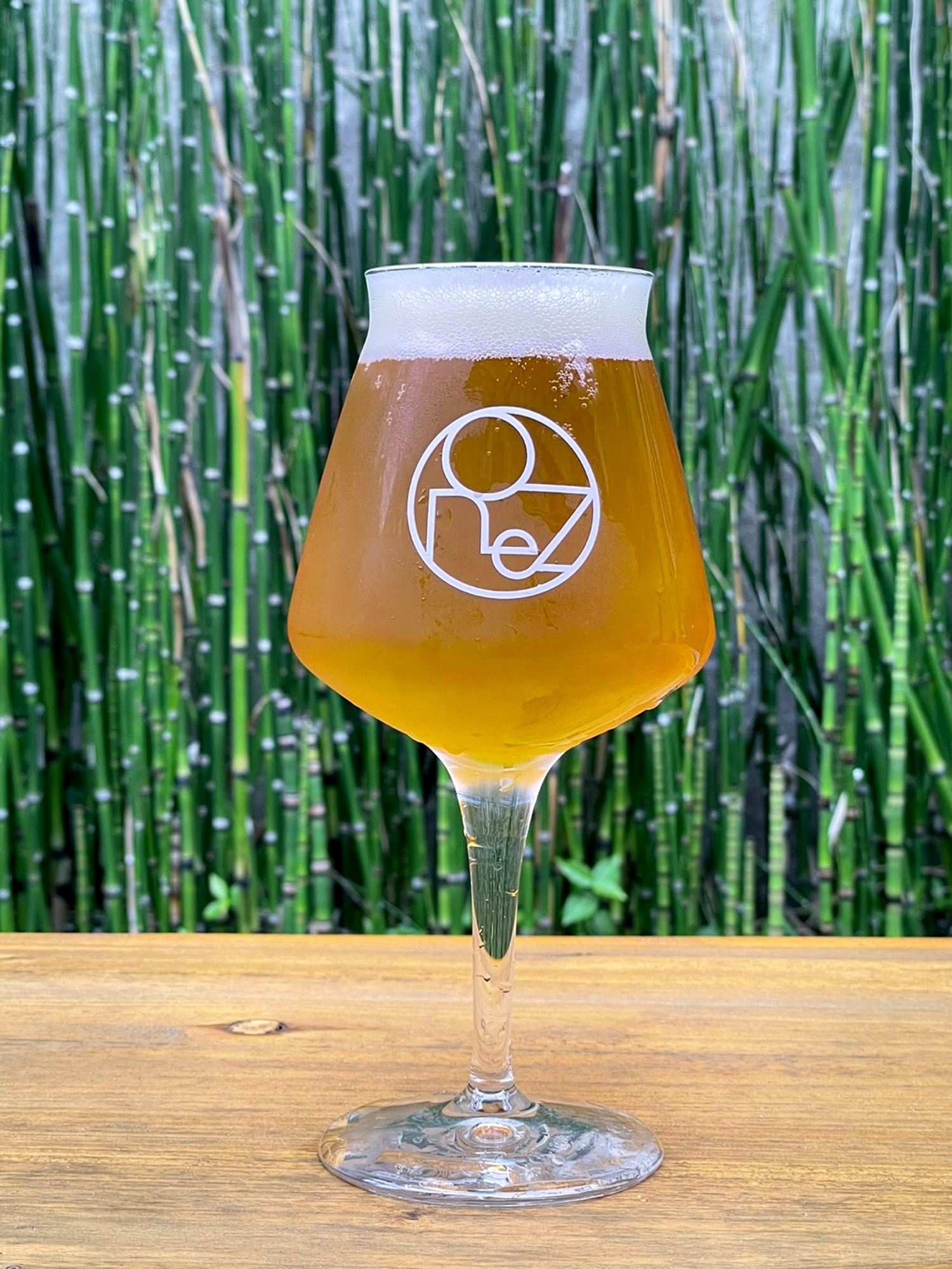 One Z Lager (ONEZ LAGER)(5.0%)