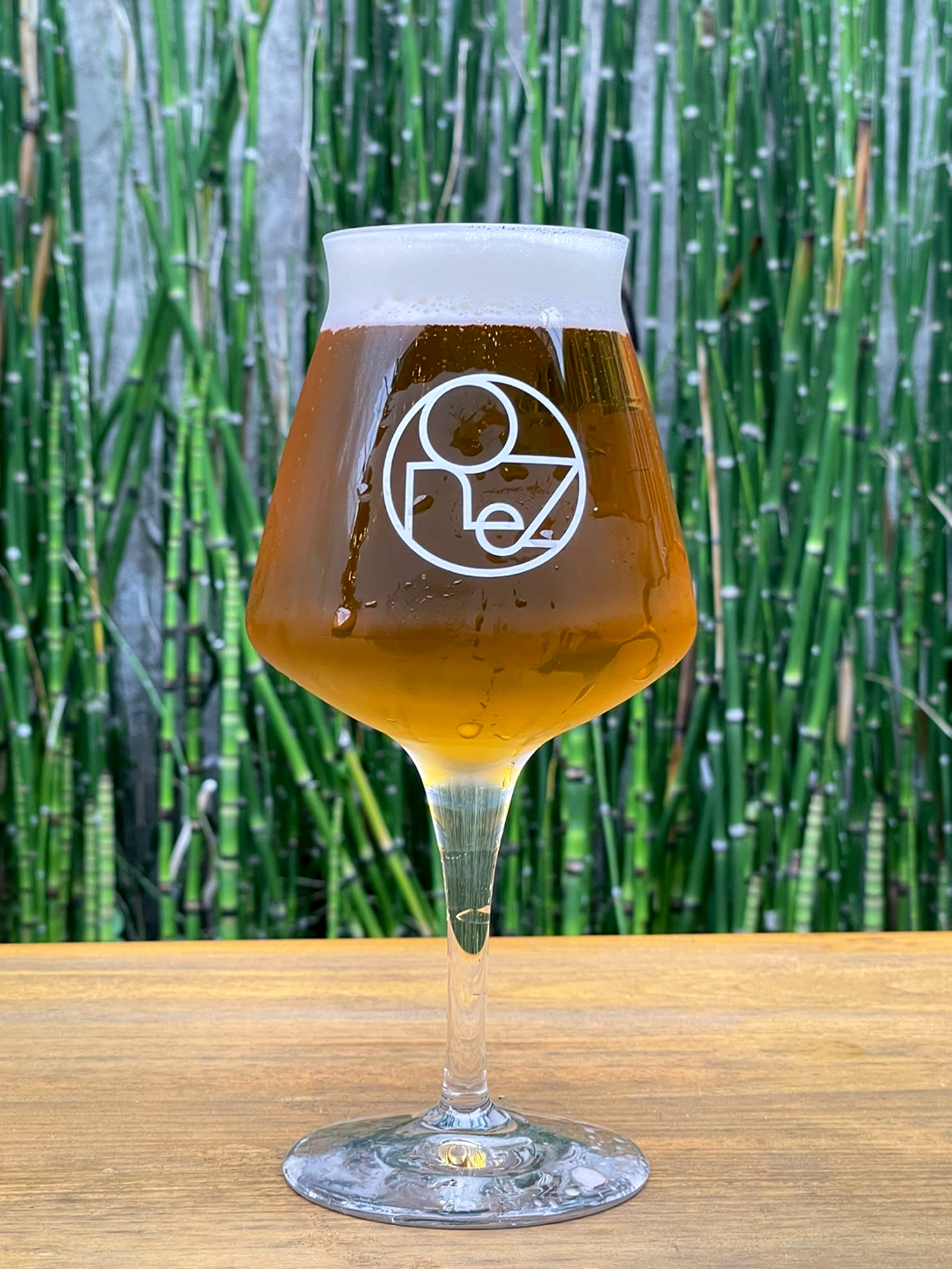 One Z IPA (ONEZ IPA)(6.0%)