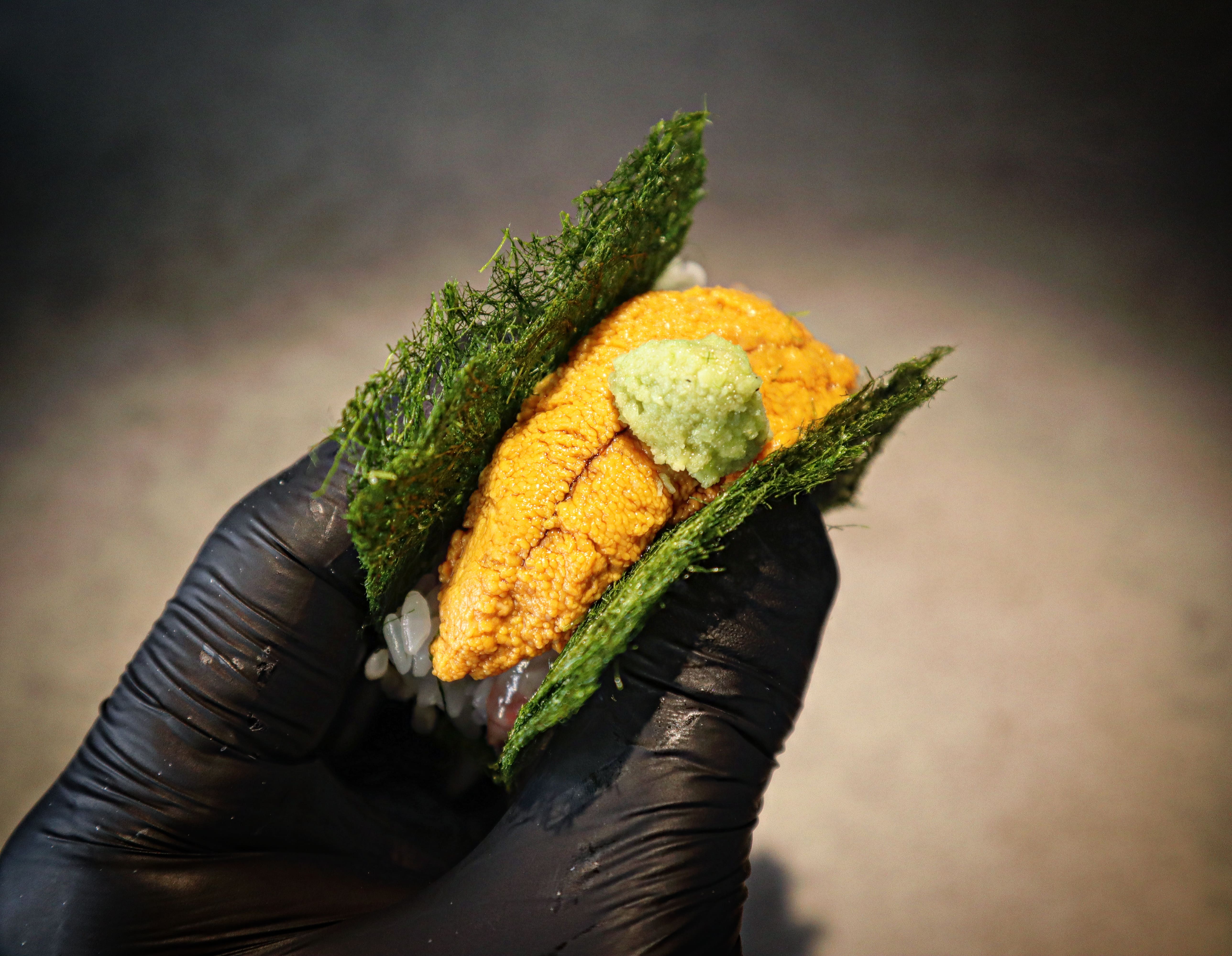 (One Bite) Uni, Alaskan Pink Shrimp and Ecklonia Cava (1pcs)