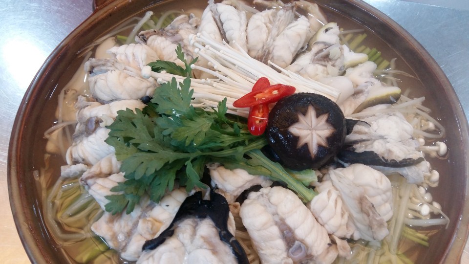 Live Tiger Puffer Fish