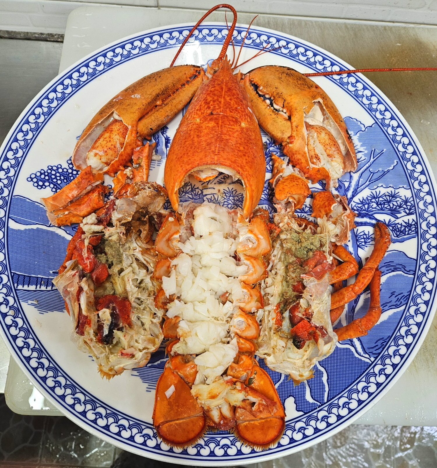 Lobster Course Meal