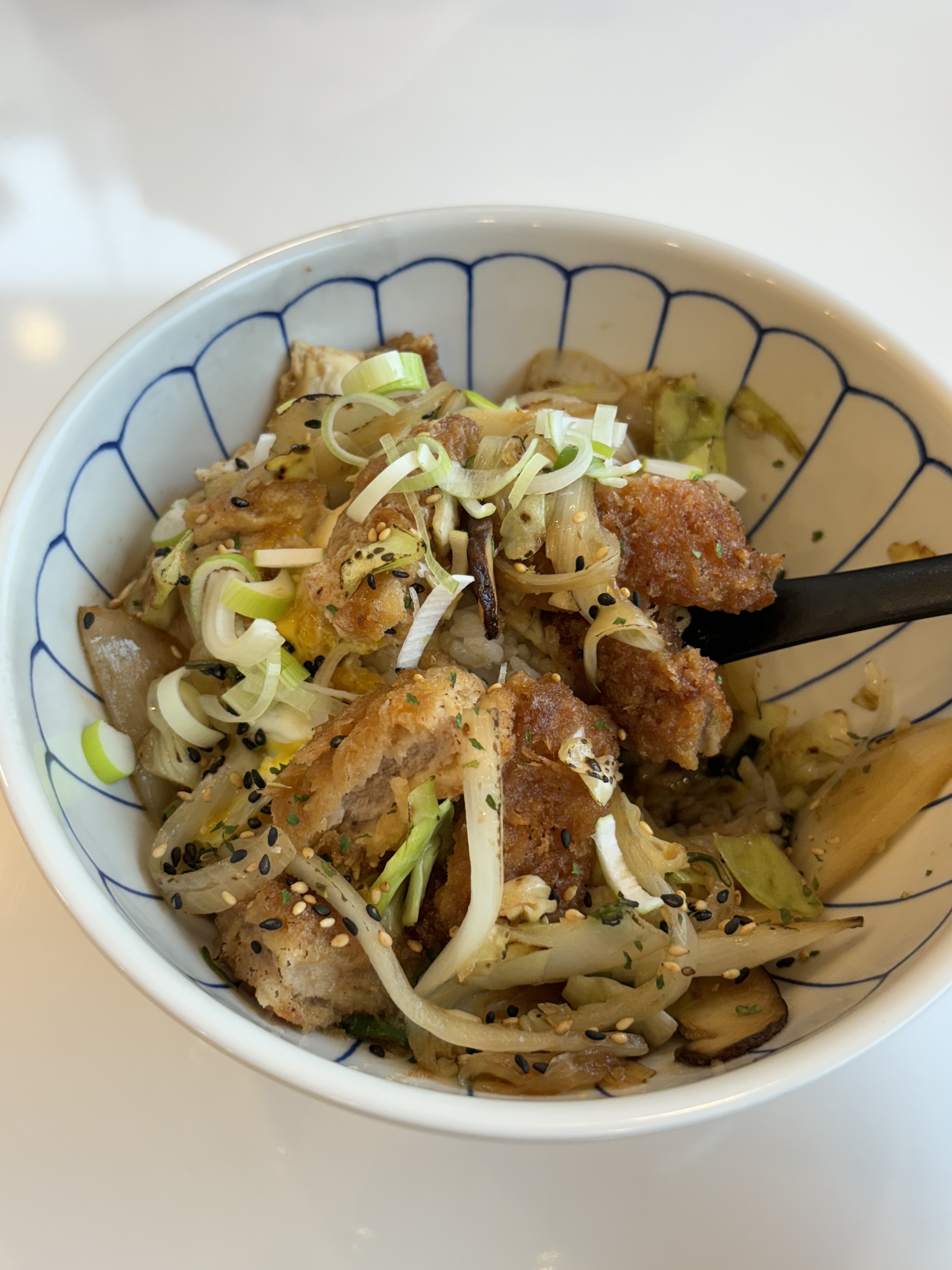 Pork Cutlet with Rice
