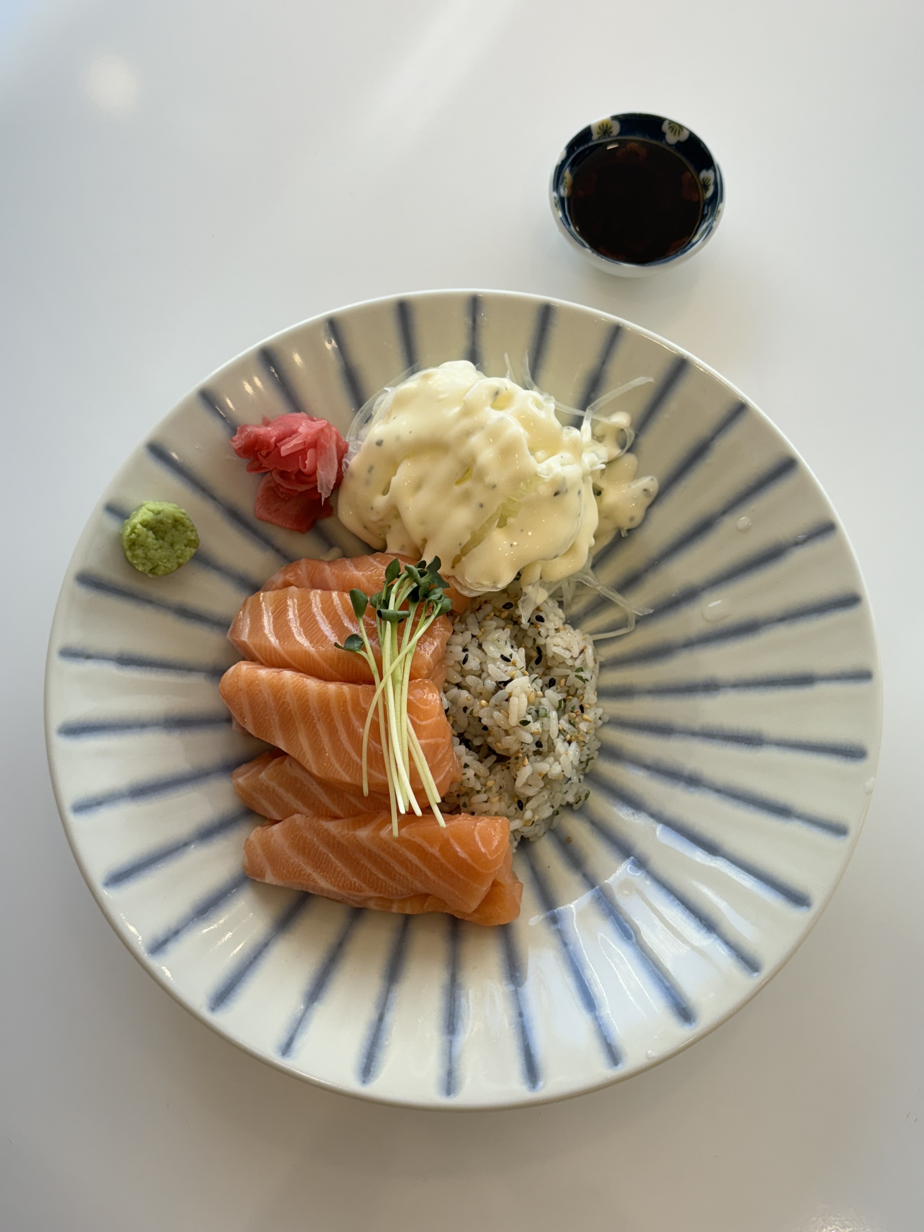 Sliced Raw Salmon with Rice