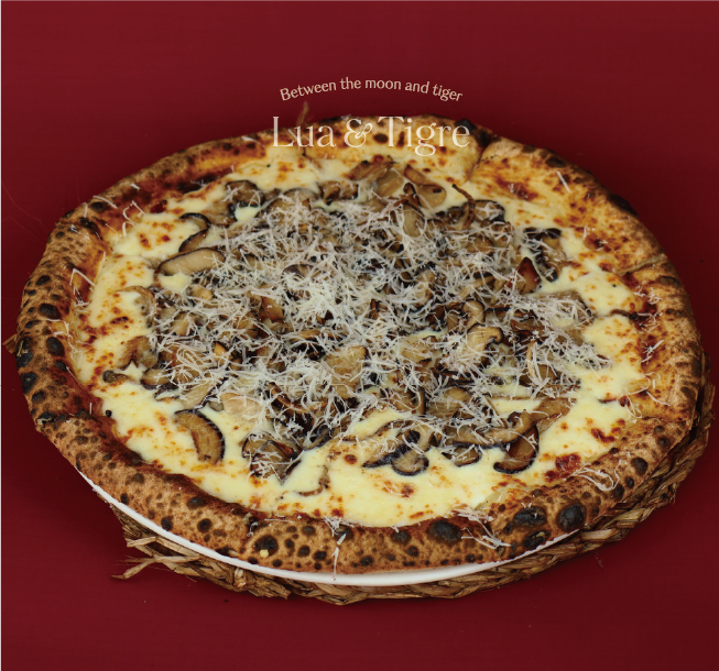 Truffle Mushroom