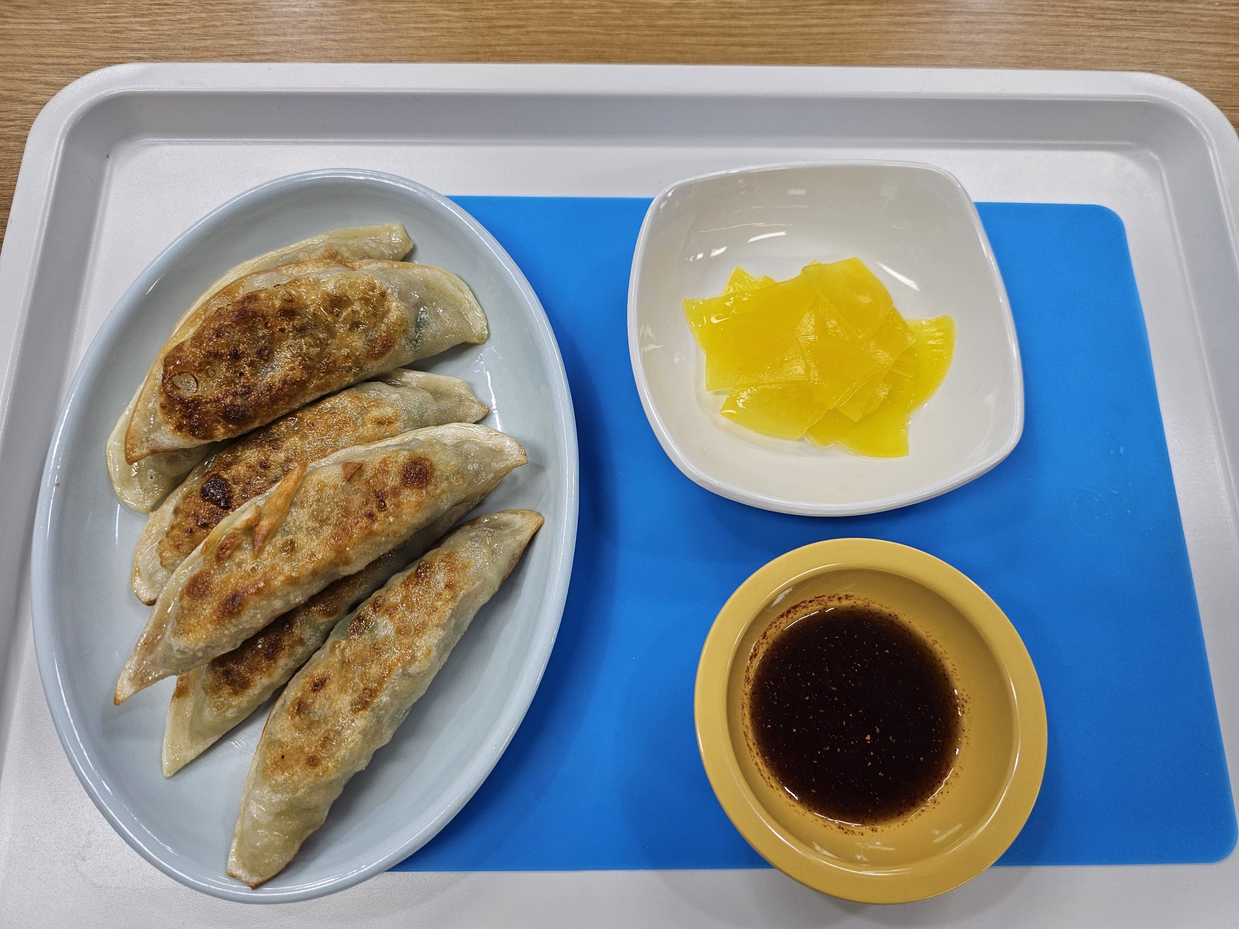NO14 Fried Dumplings