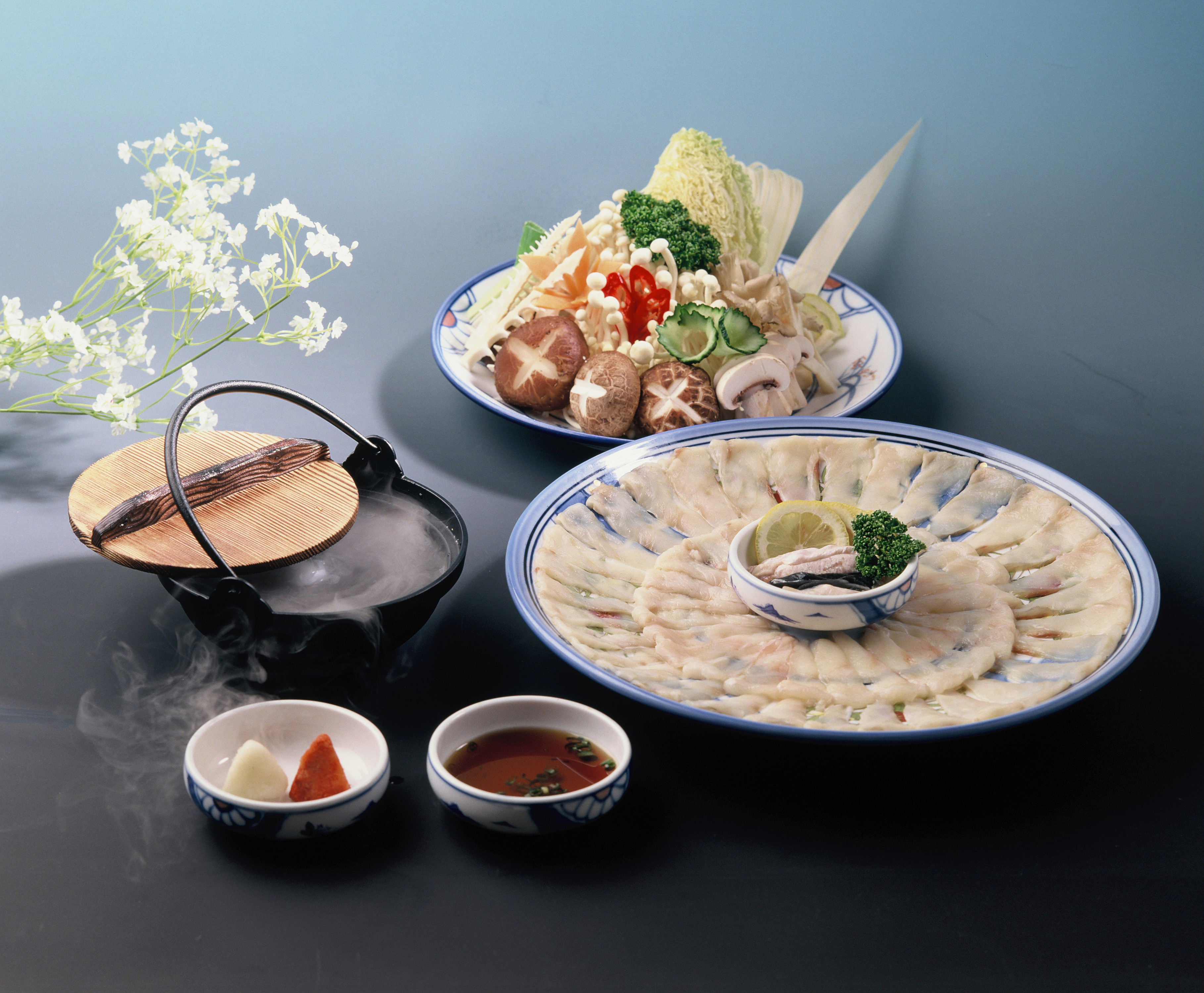 Puffer Fish Hot Pot