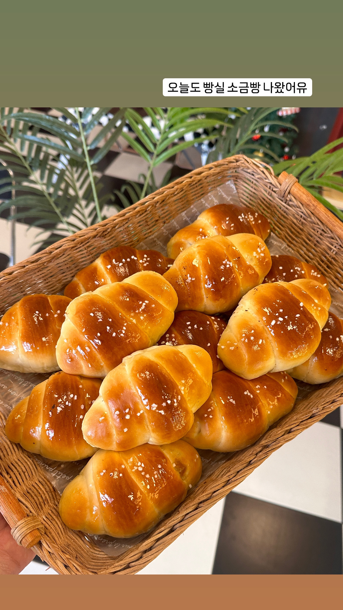 Salt Bread