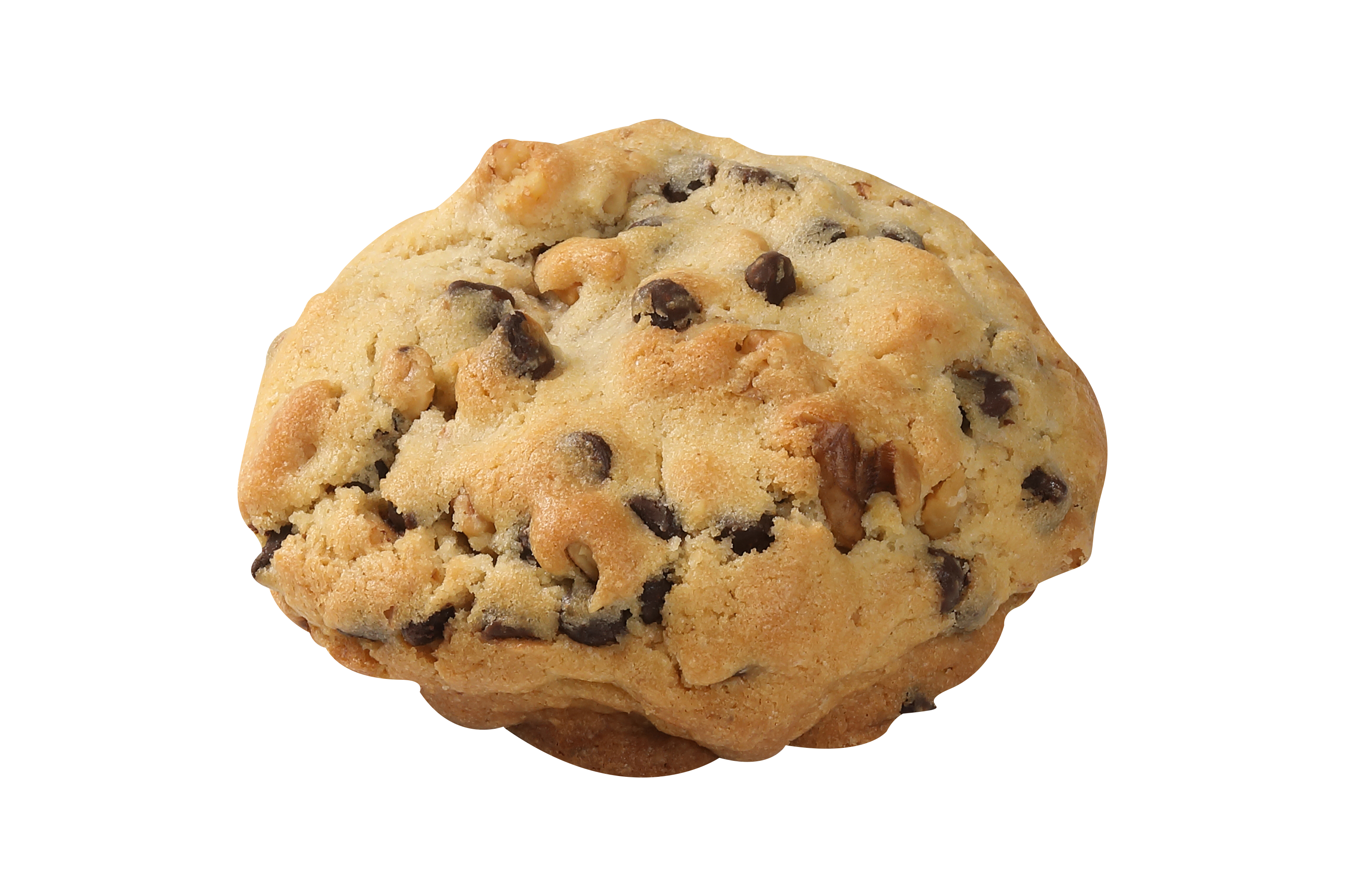 Walnut Choco Chip Cookie