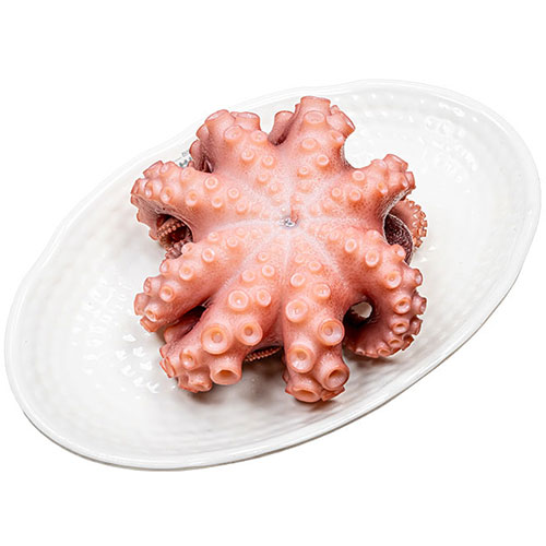 Extra Octopus (1 pc)
