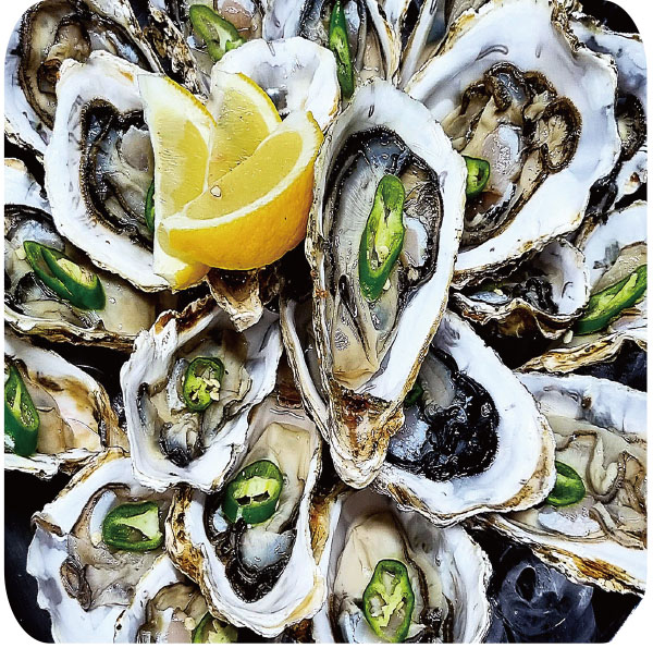 Raw Oysters