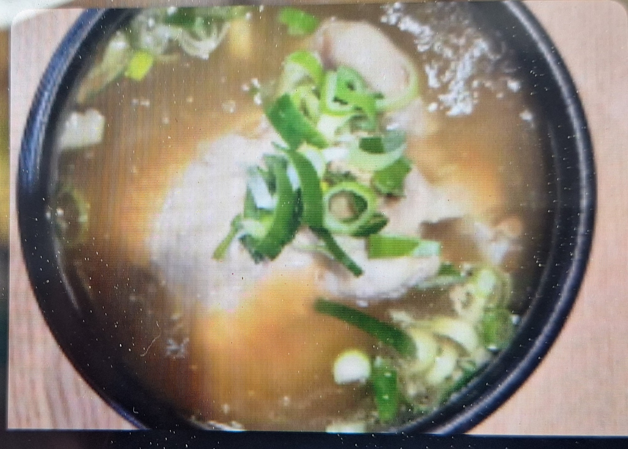 Chicken Soup with Lacquer Tree