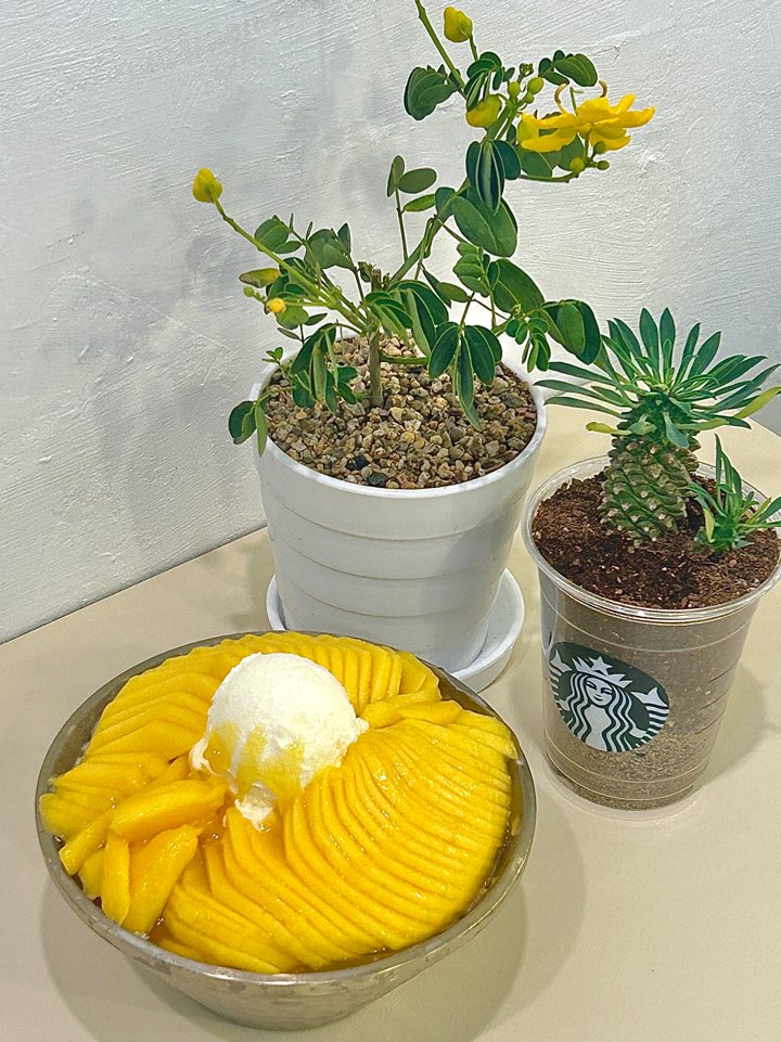 Mango shaved ice