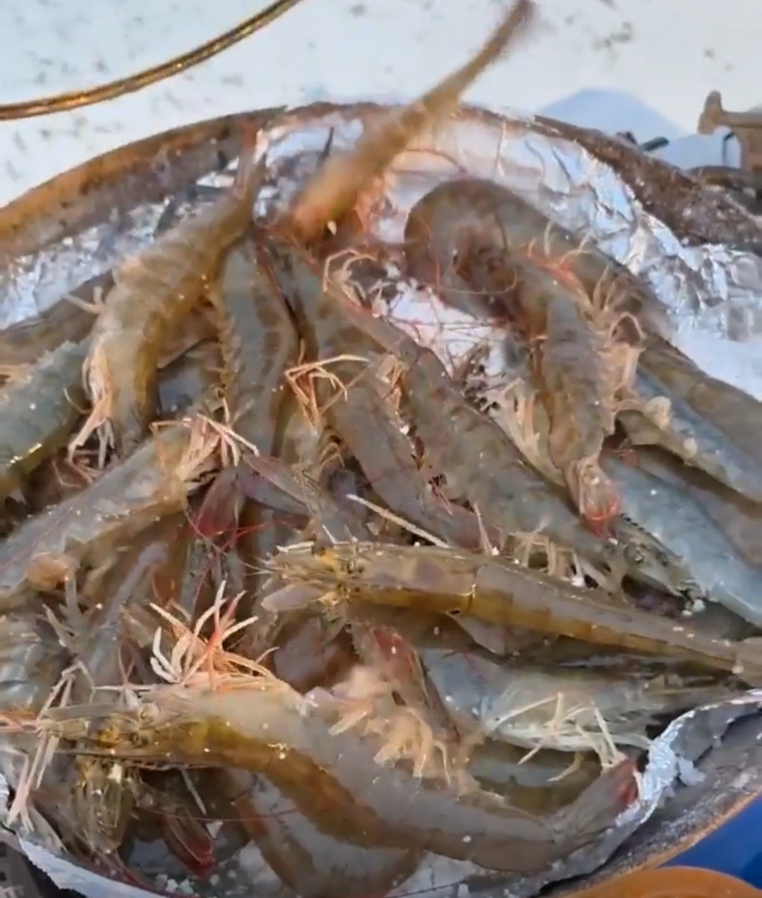 Raw King Prawn