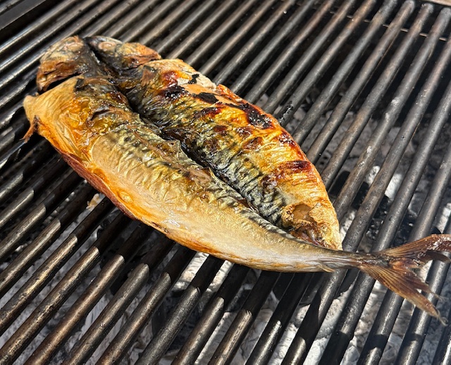 Grilled Mackerel Set Menu