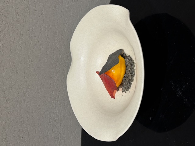 Ripe Persimmon Sherbet