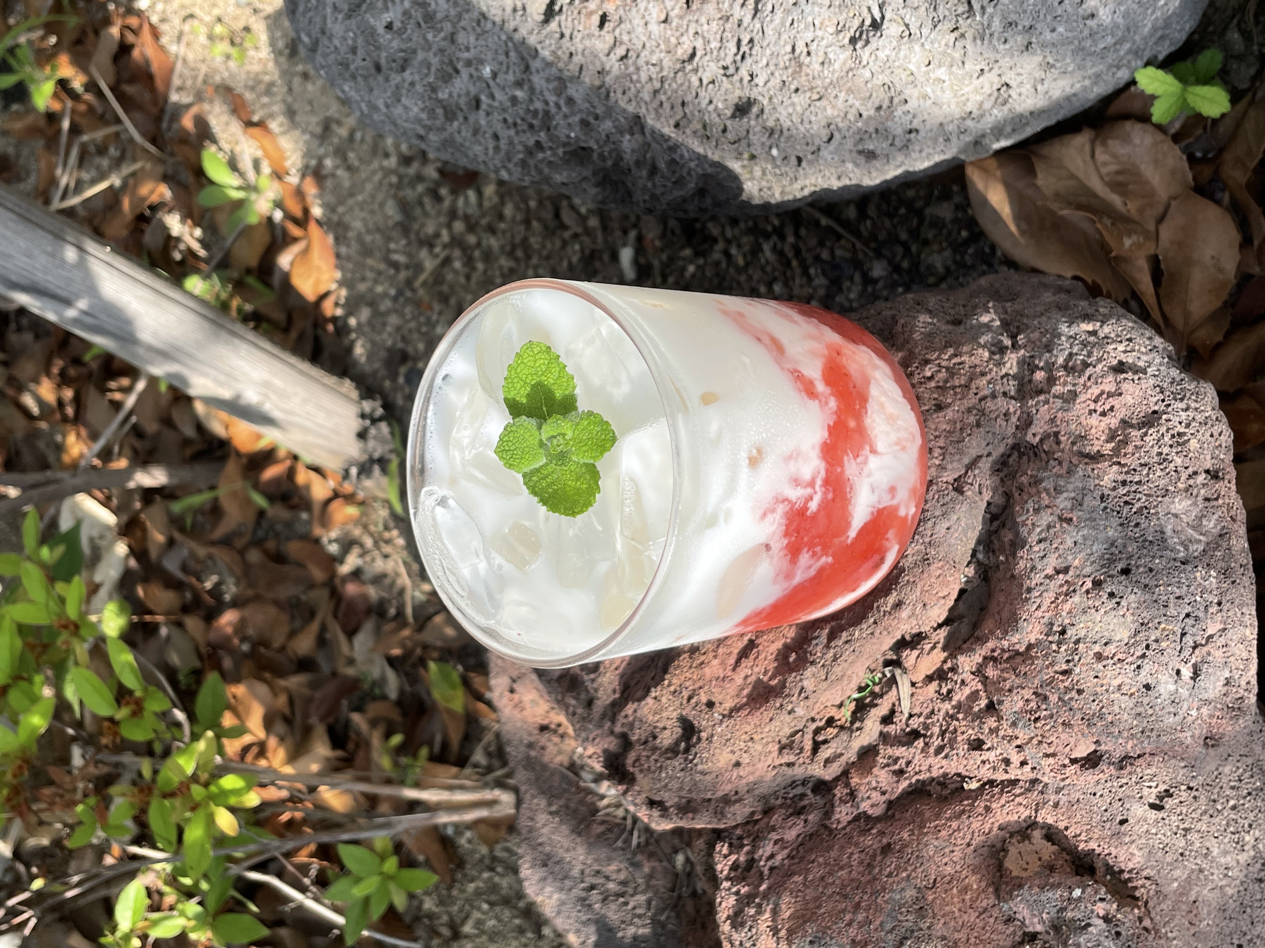 Sancheong Strawberry Latte (Only Iced)