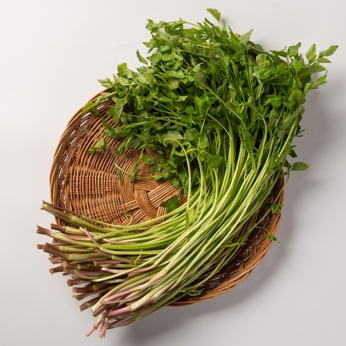 Water Parsley