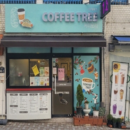 커피나무