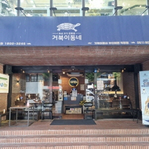 거북이동네
