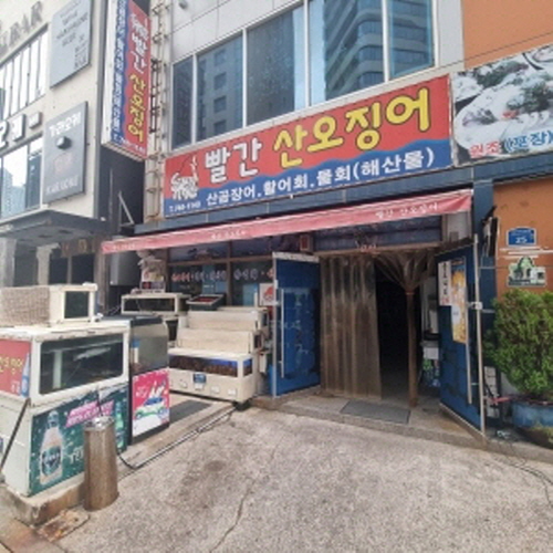 빨간산오징어