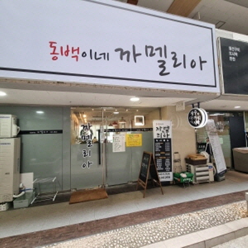 까멜리아