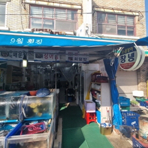 창녕회꼼장어
