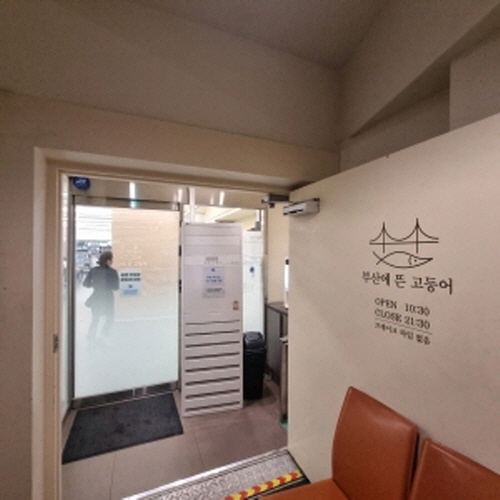 부산에 뜬 고등어
