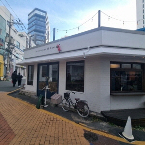 스테레오타입오브부산