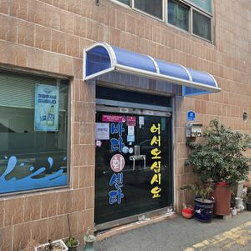 바다회센타