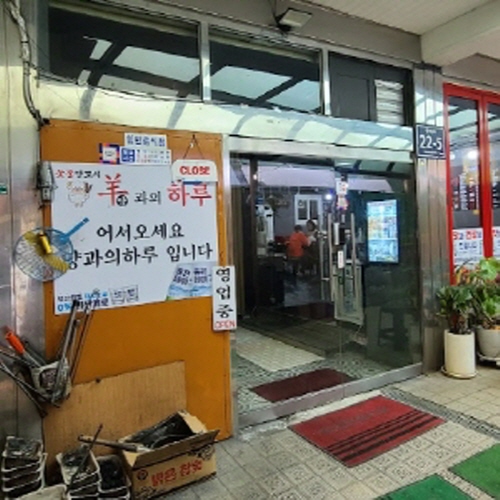 양과의 하루